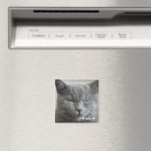 Custom Niedlich Grey Kitty Face Foto Magnet (In Situ (Geschirrspüler))