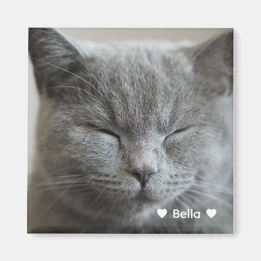 Custom Niedlich Grey Kitty Face Foto Magnet (Vorne)