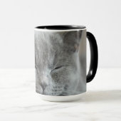 Custom Niedlich Grey Kitty Face Foto Tasse (VorderseiteRechts)