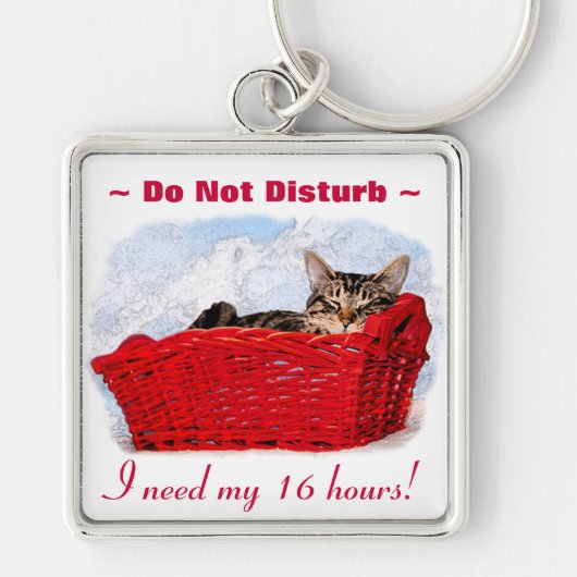 Custom Niedlich Kitten in hellrotem Korb Schlüsselanhänger (Vorne)