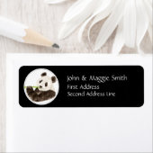 Custom Niedlich Panda, Asian Bären, Animal (Insitu)