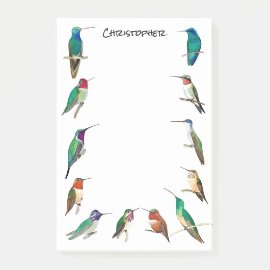 Custom North American Hummingbirds Post-it Notes Post-it Klebezettel (Vorderseite)
