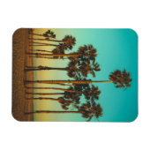 Custom Palm Trees Foto Magnet (Horizontal)