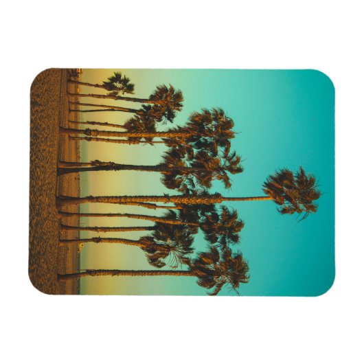 Custom Palm Trees Foto Magnet (Horizontal)