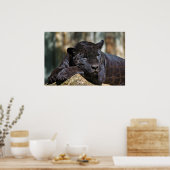 Custom Panther Poster 24" x 16" (Küche)