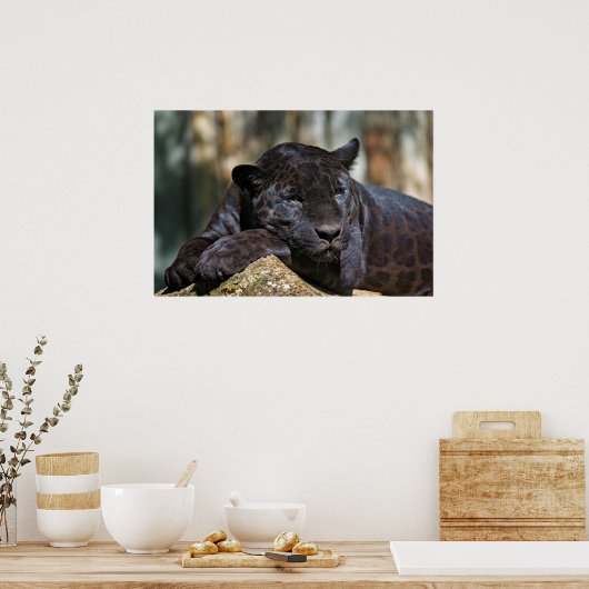 Custom Panther Poster 24" x 16" (Küche)