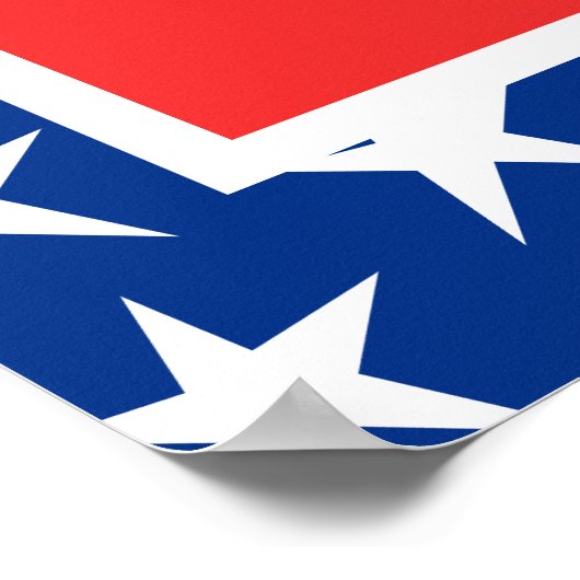 Custom Patriotic Poster (Ecke)