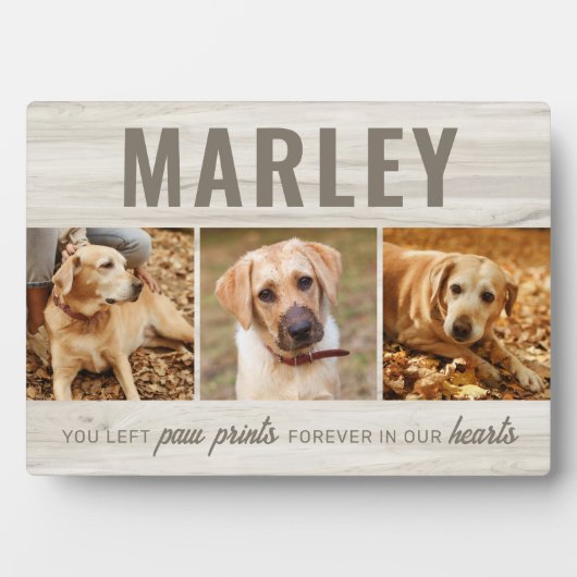 Custom Paw druckt Memorial Foto Collage Fotoplatte (Vorderseite)