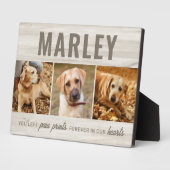 Custom Paw druckt Memorial Foto Collage Fotoplatte (Seite)