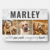 Custom Paw druckt Memorial Foto Collage Fotoplatte (Vorderseite)