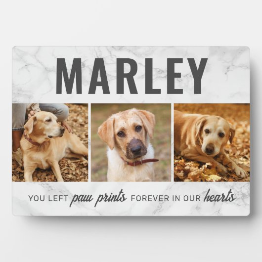 Custom Paw druckt Memorial Foto Collage Fotoplatte (Vorderseite)