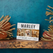 Custom Paw druckt Memorial Foto Collage Fotoplatte (Seite)