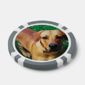 Custom Personalisiert Casino Poker Chips (Einzeln)