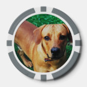 Custom Personalisiert Casino Poker Chips (Vorderseite)