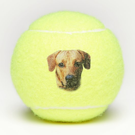 Custom Personalisiert Dog Tennis Balls Tennisbälle (Vorderseite)