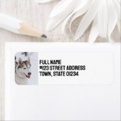 Custom Personalized Siberian Husky Dog (Insitu)