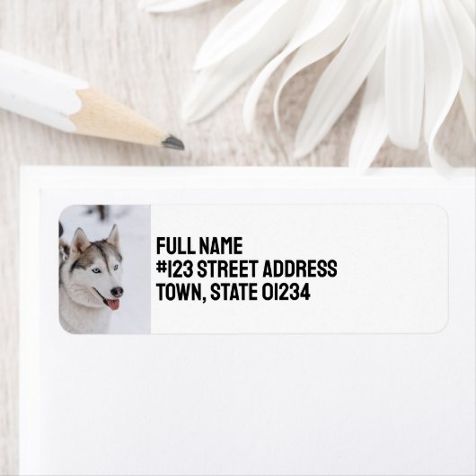 Custom Personalized Siberian Husky Dog (Insitu)
