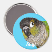 Custom Pet Bird Photo Name Magnet (Vorderseite/Rückseite)