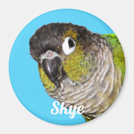 Custom Pet Bird Photo Name Magnet (Vorne)