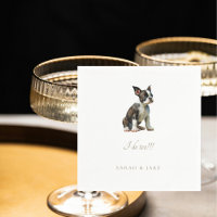 Custom Pet Boston Terrier Pet Wedkins