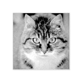 Custom Pet Cat Photo Rubber Personalized Stamp Gummistempel (Prägung)