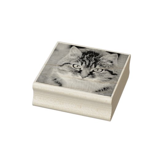 Custom Pet Cat Photo Rubber Personalized Stamp Gummistempel (Stempel)