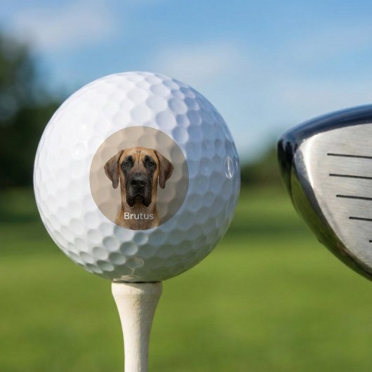Custom Pet Dog Photo Great Dane Personalized Golfball