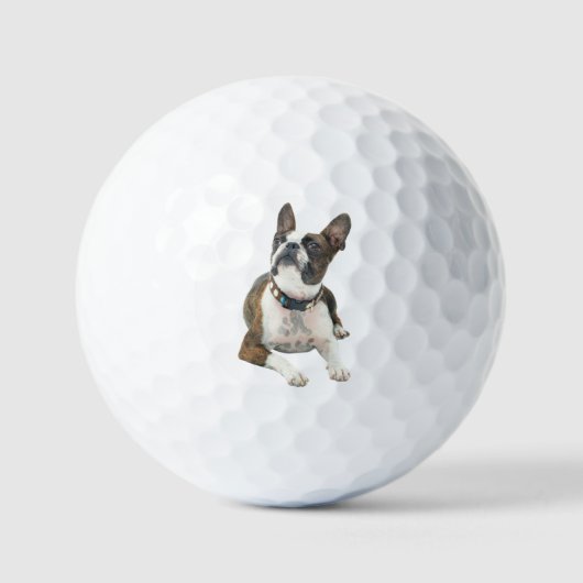 Custom Pet Dog Photo Modern Personalized Golf Ball (Vorderseite)