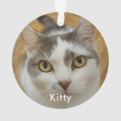 Custom Pet Family Foto Text Weihnachtsfeiertag Ornament (Rückseite)