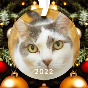 Custom Pet Family Foto Text Weihnachtsfeiertag Ornament