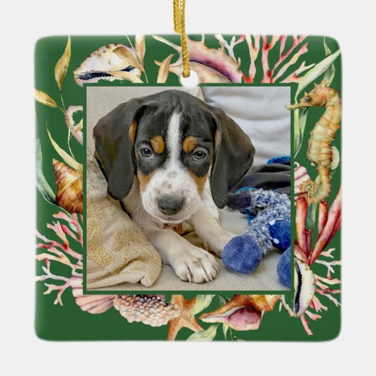 Custom Pet Foto Beach Weihnachten Keramikornament (Vorderseite)