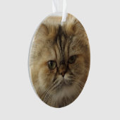 CUSTOM PET FOTO CAT ORNAMENT (Vorderseite)