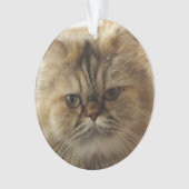 CUSTOM PET FOTO CAT ORNAMENT (Vorderseite)