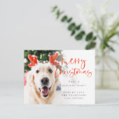 Custom Pet Foto Frohe Weihnachtsfeiertage Postkarte (Stehend Vorderseite)