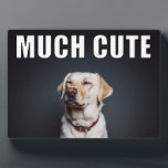 Custom Pet Foto Funny Much Niedlicher Meme Stil Fotoplatte<br><div class="desc">Erstellen Sie ein lustiges, individuelles Foto-Geschenk, wenn Sie Ihr eigenes Foto zu dieser MUCH NIEDLICHE Display-Plakette hinzufügen. Diese Desktop- oder Tischplatte ist im Stil eines Internet-Memes mit dem Satz MUCH NIEDLICH in fett weiß und schwarz Schrift über dem oberen Rand Ihres Fotos. Es ist großartig, um lustige und goofy Fotos...</div>