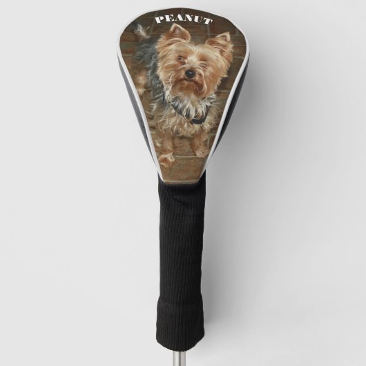 Custom Pet Foto Mit Monogramm Golf Head Cover Headcover (Vorderseite)