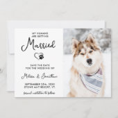 Custom Pet Foto Moderne Kalligrafie Hunde Hochzeit Save The Date (Vorderseite)
