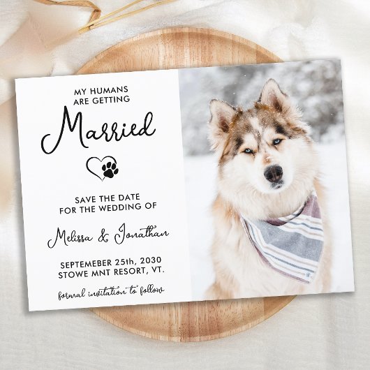 Custom Pet Foto Moderne Kalligrafie Hunde Hochzeit Save The Date