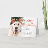 Custom Pet Foto Script Frohe Weihnachten geklappt (Vorderseite)