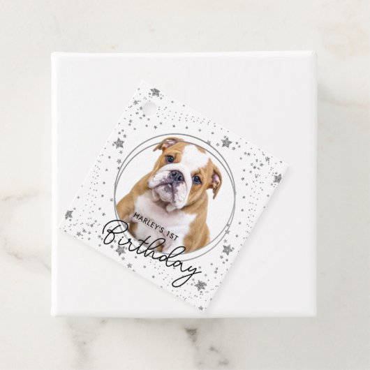 Custom Pet Foto Silver Glitzer Stars Hund Geburtst Geschenkanhänger (Beispiel)