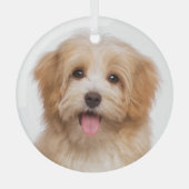 Custom Pet Foto Weihnachtsfeiertag Ornament Aus Glas (Vorderseite)