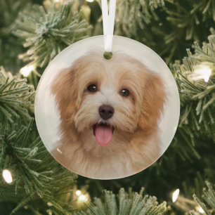 Custom Pet Foto Weihnachtsfeiertag Ornament Aus Glas