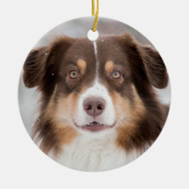 Custom Pet Hund 2 Foto Weihnachten Keramik Ornament