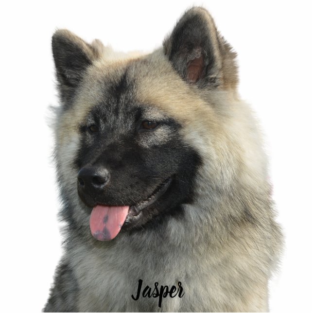 Custom Pet Keepsake Using Your Photo Name Fotoskulptur Ornament (Vorne)