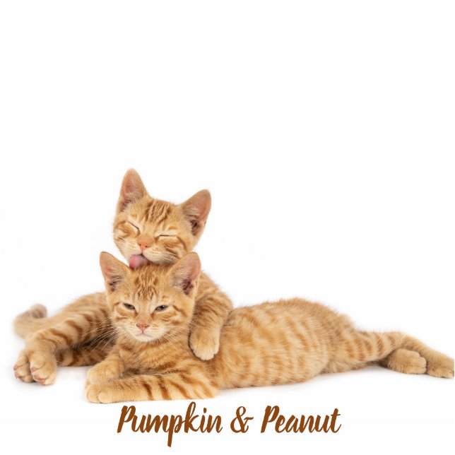 Custom Pet Keepsake Using Your Photo Name Freistehende Fotoskulptur (Vorne)