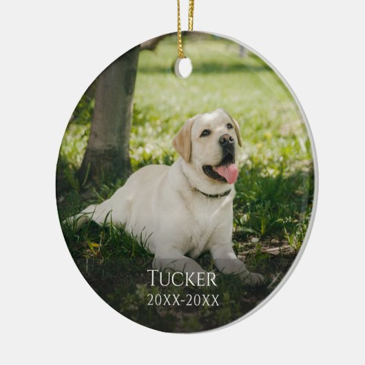 Custom Pet Memorial Classic Ornament (Links)