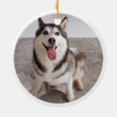 Custom Pet Memorial Hund Katze Weihnachtsgebäck Ve Keramik Ornament (Hinten)