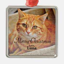 Custom Pet Name Weihnachtsfeiertag Foto Ornament Aus Metall