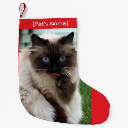 Custom Pet Photo Christmas Stocking Kleiner Weihnachtsstrumpf (Vorderseite)