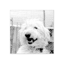 Custom Pet Photo Etched Style